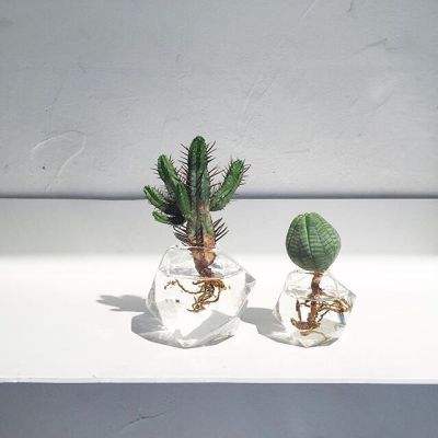 彩神lllv入口app下载