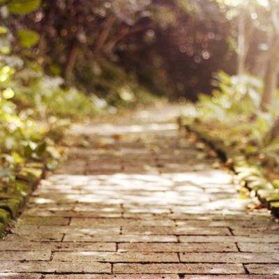 万博manbetx客户端